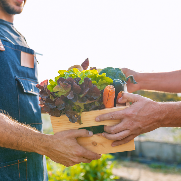 The Power of Local: How Small-Scale Producers Benefit Our Planet and Economy