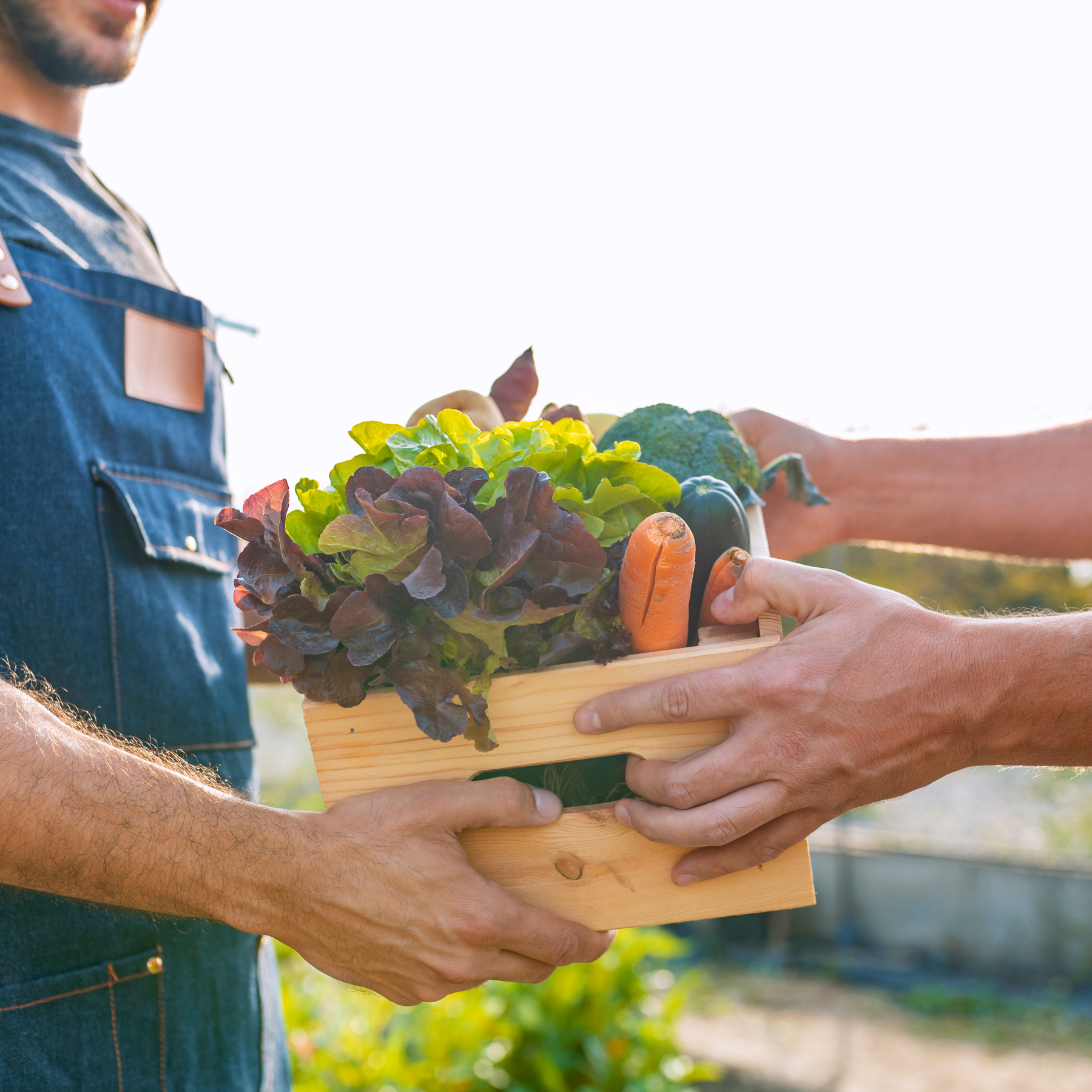 The Power of Local: How Small-Scale Producers Benefit Our Planet and E ...